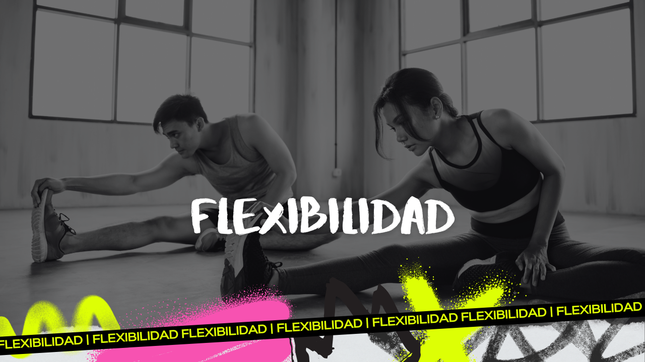 Flexibilidad